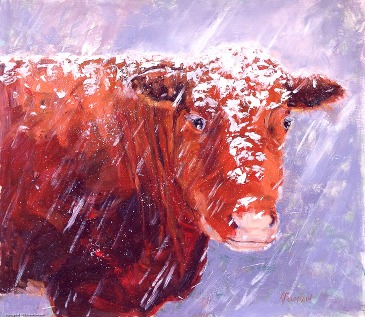 Cold Cow 