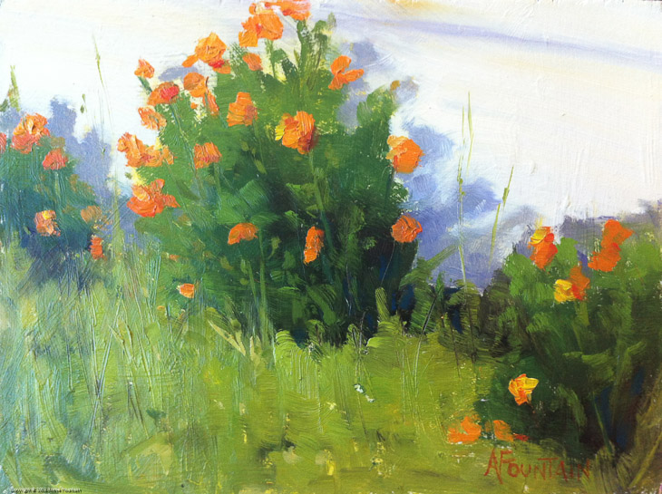 Poppies at Old Schoolhouse