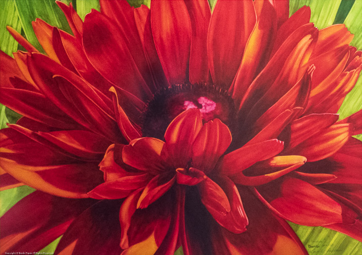 Gloriosa