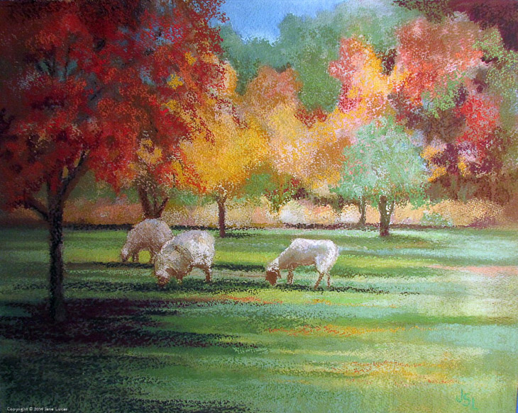 Sheepish Afternoon