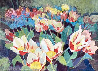 tulip frenzy