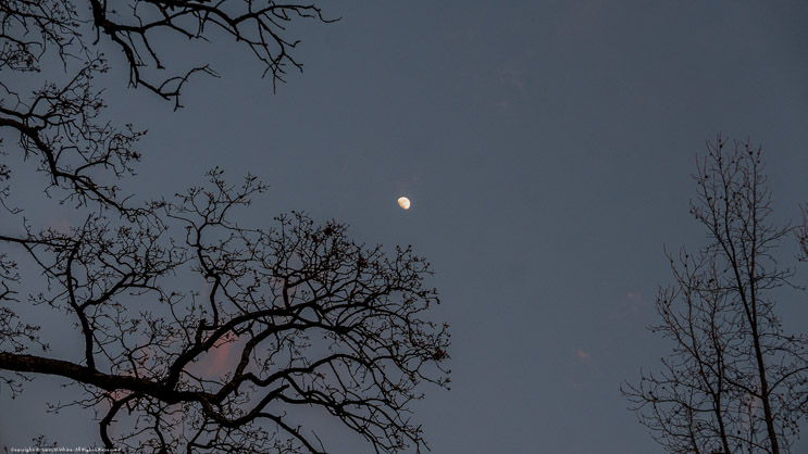 Clouds and Moon at Sunset