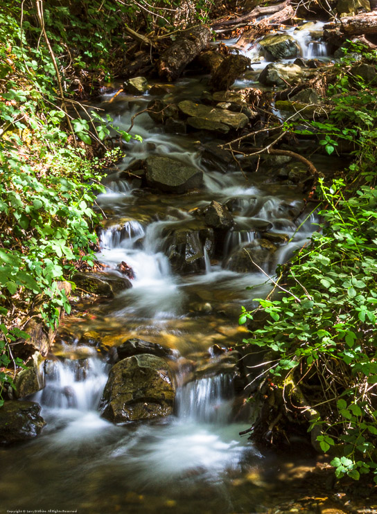 Falls near Angels Creek