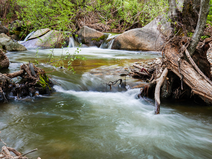 Creek at Indigeny Apple Farm