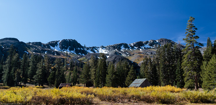 Meadow near Highland Lakes