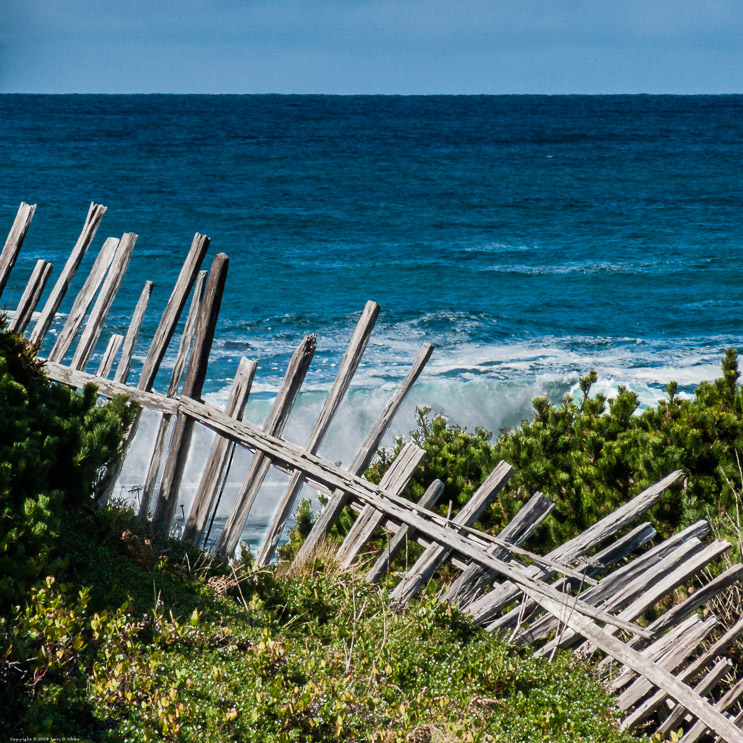 Fence  along the Fort Bragg Coast