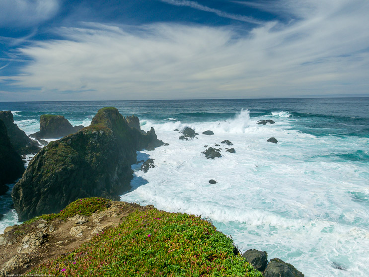 Mendocino Botanical Gardens