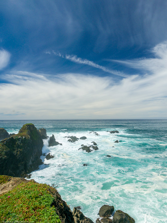 Mendocino Botanical Gardens