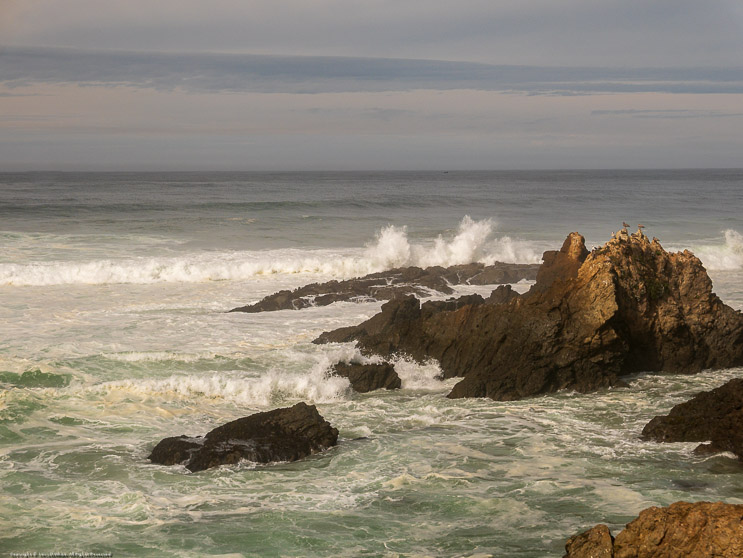 Mendocino Headlands