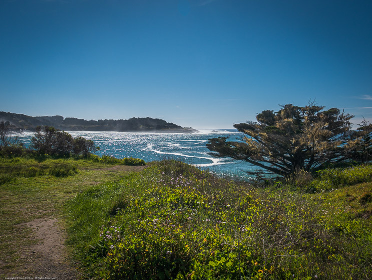 Mendocino Headlands