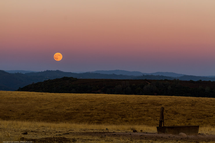 Harvest Super Moonrise over Mokelumne Hill