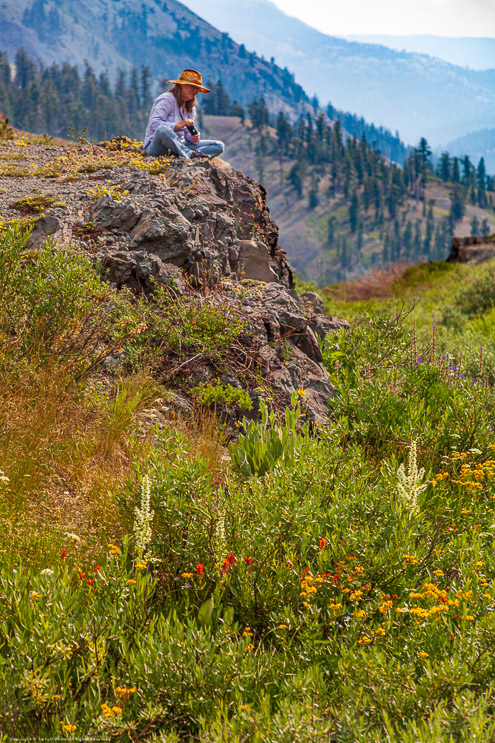 Highland Lakes Wildflowers and the Iceberg Wilderness