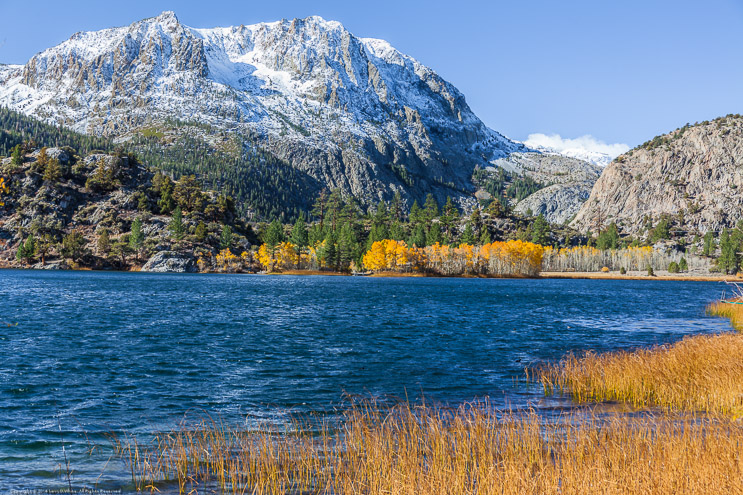 Fall Color at Gull Lake