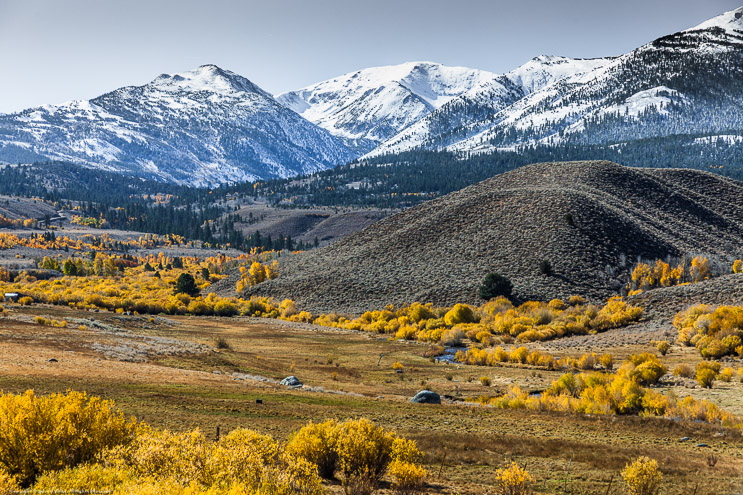 Fall Color along the Little Walker River