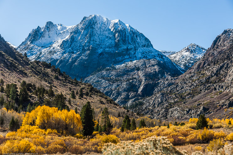 Fall Color on the June Lake Loop