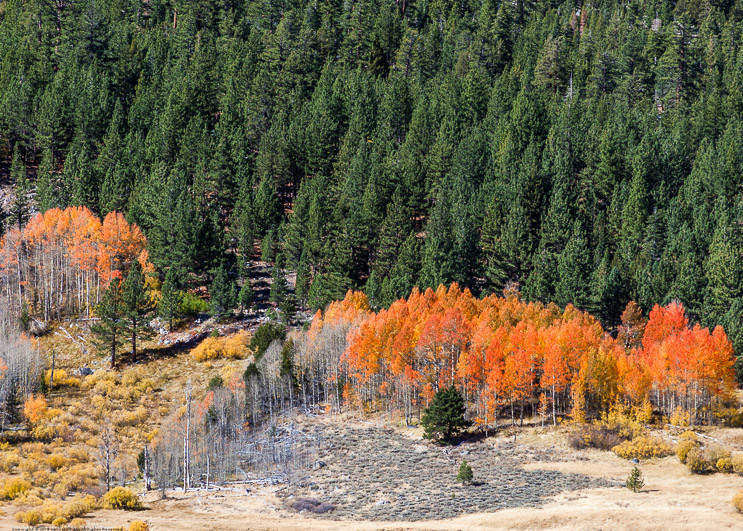 Hope Valley Fall Colors