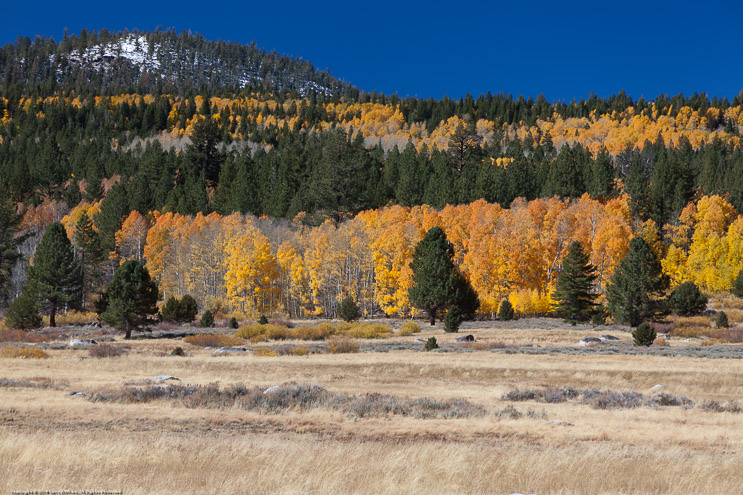 Fall Colors in Hope Valley