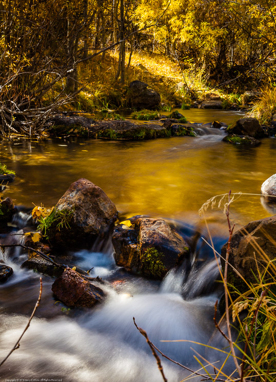 Mill Creek in Full Fall Regalia