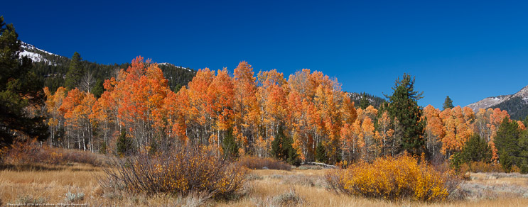 Hope Valley Fall Colors