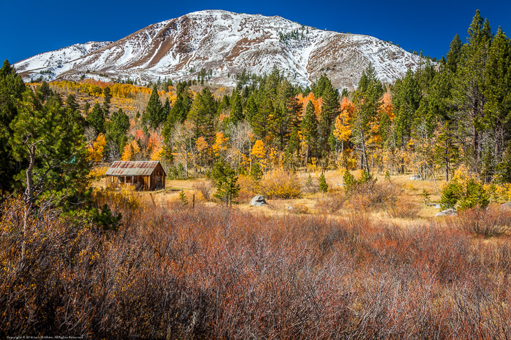 Cabin in Hope Valley in Fall