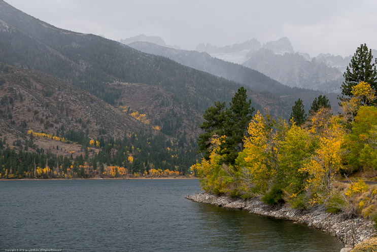 Fall Color at Twin Lakes in the Rain