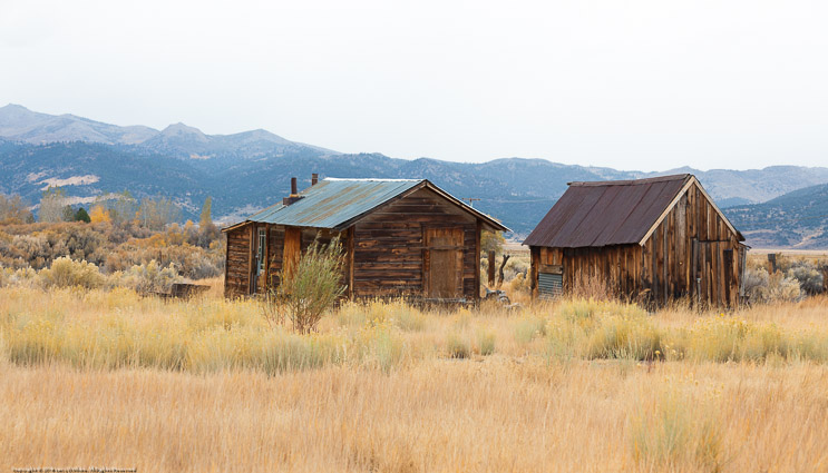 OLd Cabins in Bridgeport