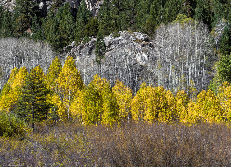 Fall Colors in Hope Valley
