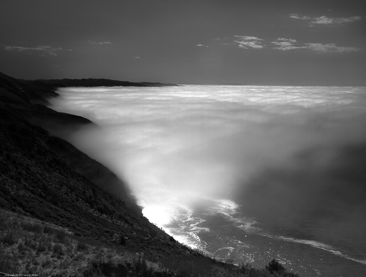 Fog along the North Coast