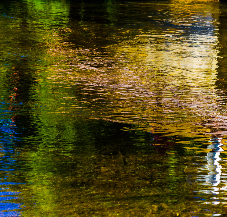 Reflections in Murphys Creek