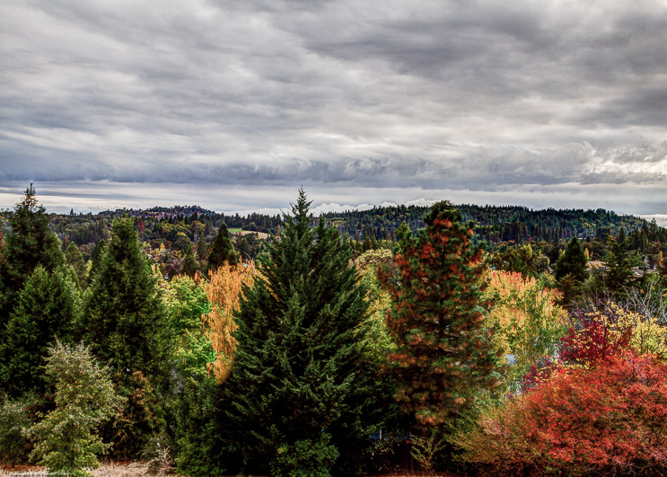 Fall Colors and Clouds