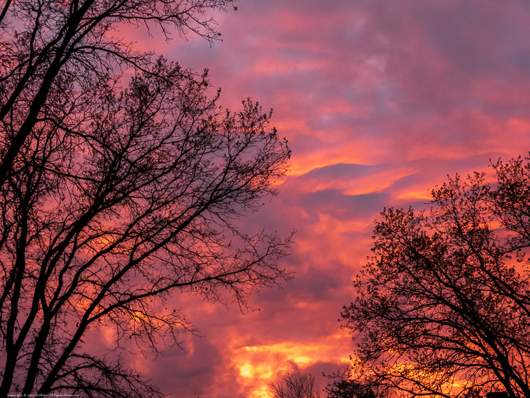 Murphys Sunset