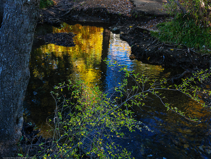 Fall reflections in Angls Creek