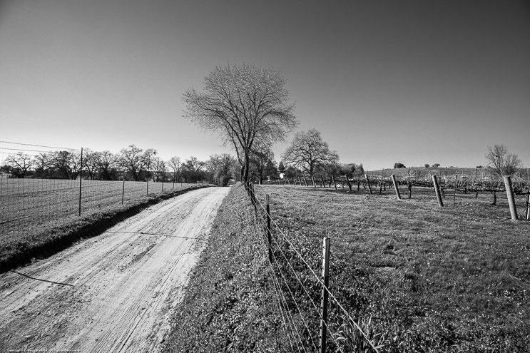 Shenandoah Valley