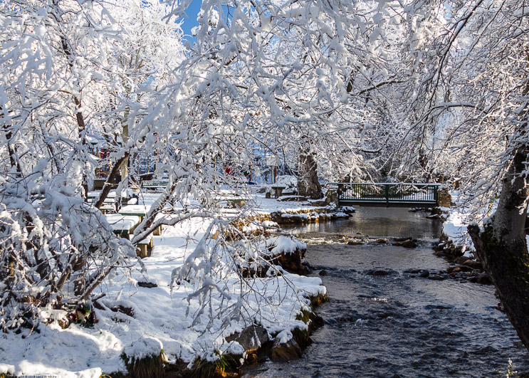 Snow in Murphys Park