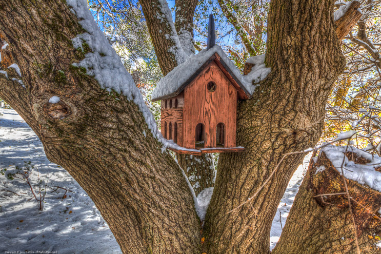 Birdhouse and Snow