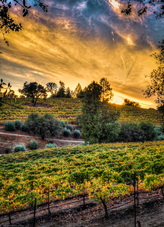 Sunset at Broll Mountain Vineyards 