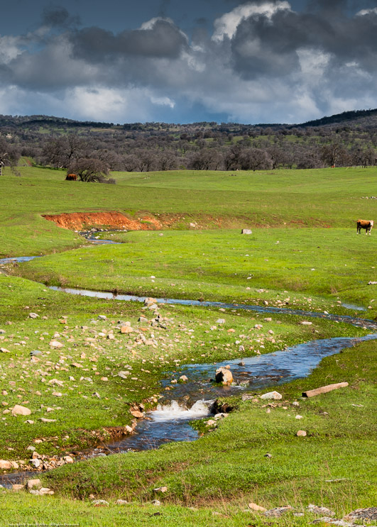 Spring Storm Runoff