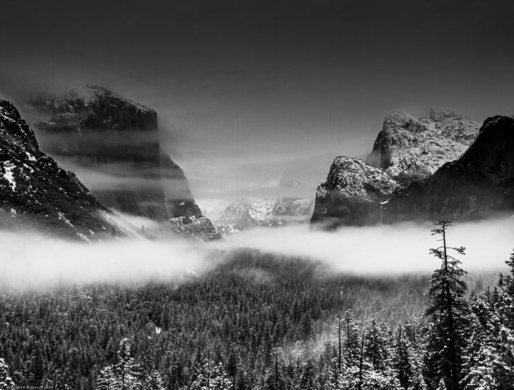 Veil of fog over Yosemite Valley