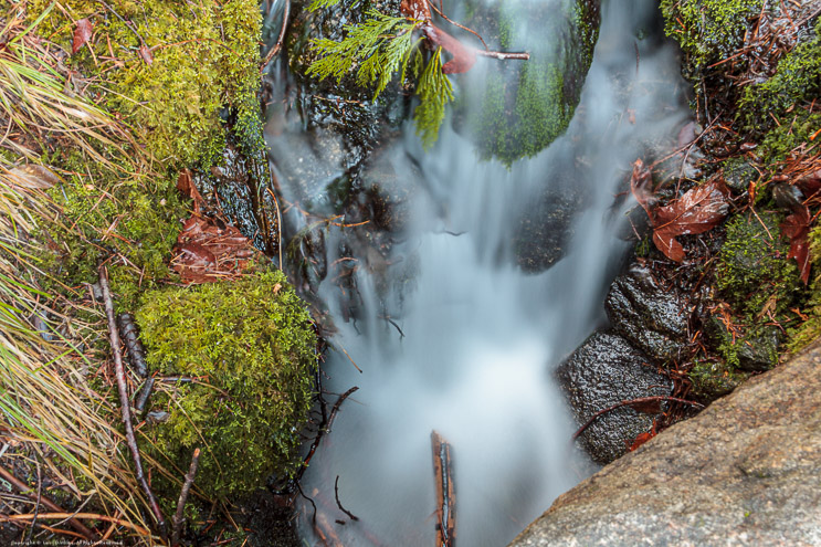 Waterfall below Fern Spring