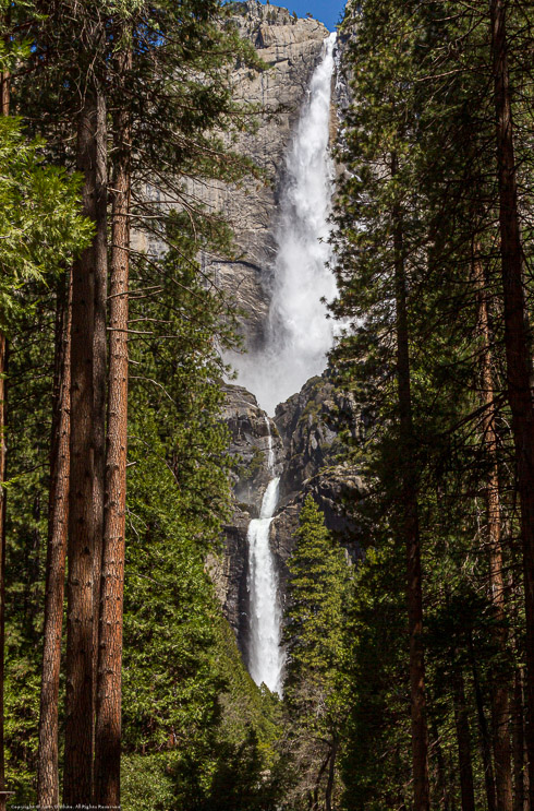  Upper and Lower Yosemite Falls