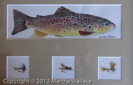 Brown Trout and Flies