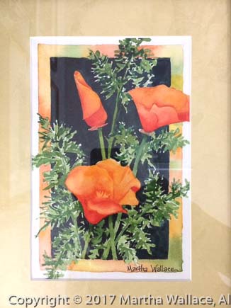 California Poppies