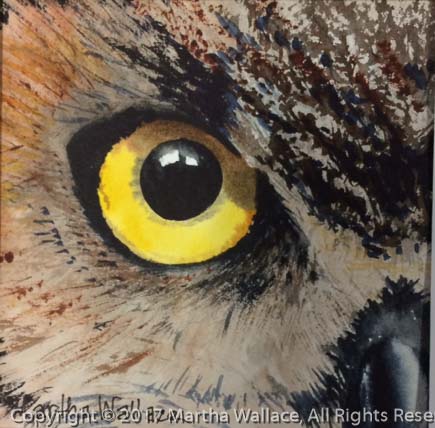Eye of the Owl #2