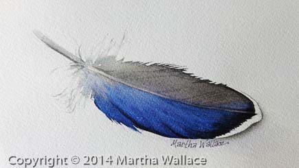 Mallard Feather