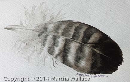 Owl Feather