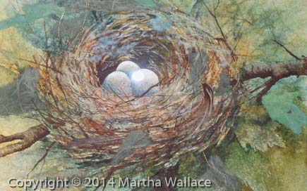 Sparrow's Nest