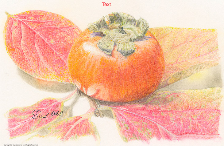 Persimmon Leaves                                                                                    Original Colored Pencil Fine Art 5