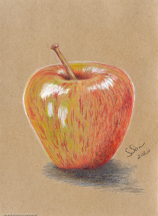 Rustic Apple                                                                                    Original Colored Pencil Fine Art 7