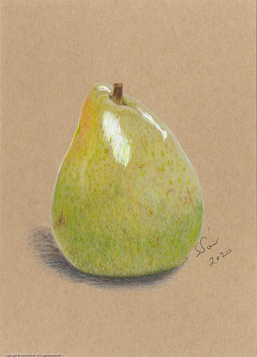 Rustic Pear                                                                                    Original Colored Pencil Fine Art 7