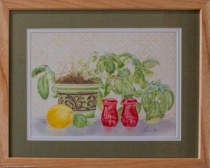 Summer Basil                                                                                    Original Colored Pencil and Pastel